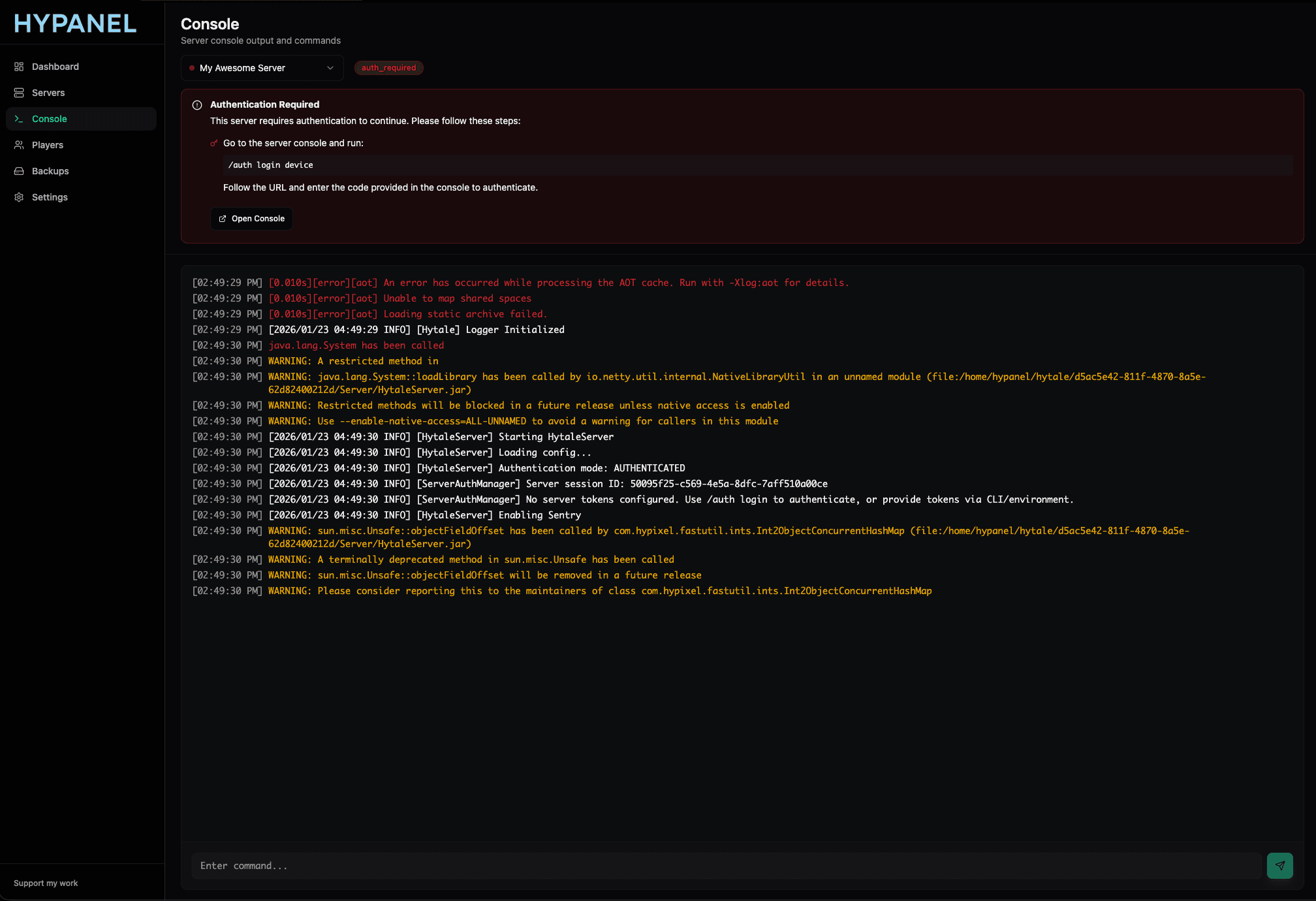 Console page showing authentication instructions and command input